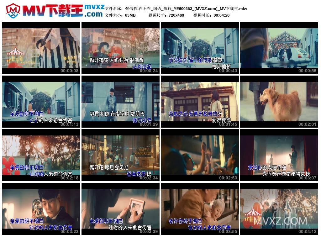 张信哲-在不在_国语_流行_YE500362